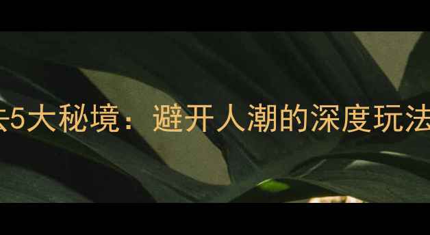 图片 国庆黄金周浙江必去5大秘境：避开人潮的深度玩法与隐藏玩法全攻略1