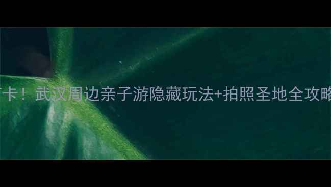 图片 大石湖风景区必打卡！武汉周边亲子游隐藏玩法+拍照圣地全攻略（附交通住宿）2