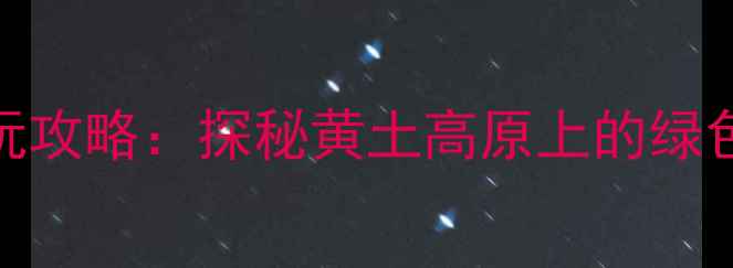 图片 大荔沙漠生态公园最新游玩攻略：探秘黄土高原上的绿色奇迹，必打卡的5大理由1