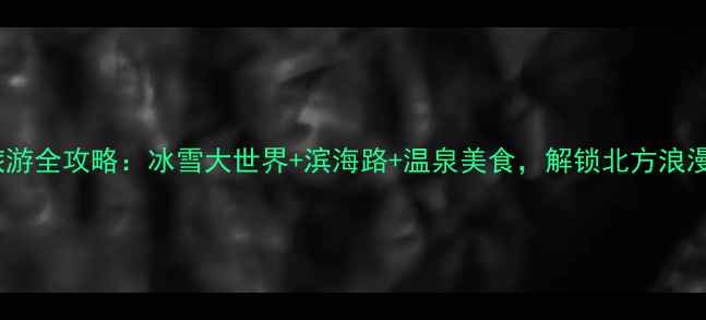 图片 大连冬季旅游全攻略：冰雪大世界+滨海路+温泉美食，解锁北方浪漫冰雪之旅2