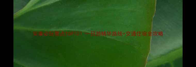 图片 安康必玩景点TOP10！一日游精华路线+交通住宿全攻略