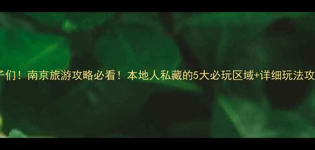 图片 宝子们！南京旅游攻略必看！本地人私藏的5大必玩区域+详细玩法攻略2