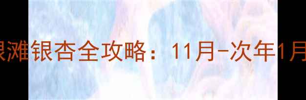 图片 广西北海涠洲岛+银滩银杏全攻略：11月-次年1月小众秘境打卡指南