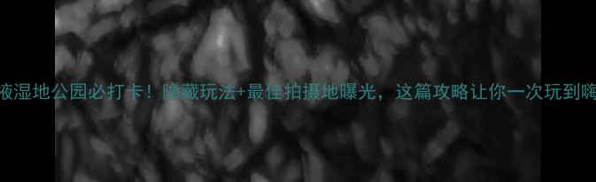 图片 张掖湿地公园必打卡！隐藏玩法+最佳拍摄地曝光，这篇攻略让你一次玩到嗨~2