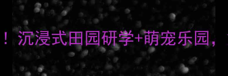 图片 彭墩乡村世界｜亲子游天花板！沉浸式田园研学+萌宠乐园，解锁京郊小京都的N种玩法！1