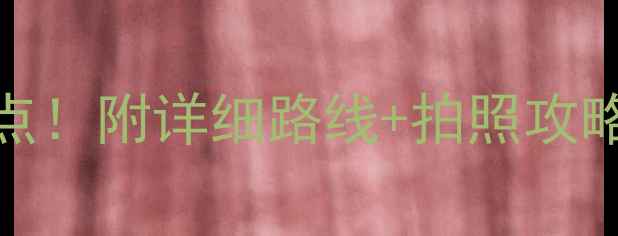 图片 德州一日游攻略｜必打卡8个神仙景点！附详细路线+拍照攻略📸德州旅行小众打卡地周末去哪儿1