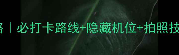 图片 故宫半日游保姆级攻略｜必打卡路线+隐藏机位+拍照技巧（附实时人流量）1