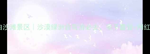 图片 新疆白碱滩白沙滩景区｜沙漠绿洲自驾游必去，亲子露营+网红机位全攻略1