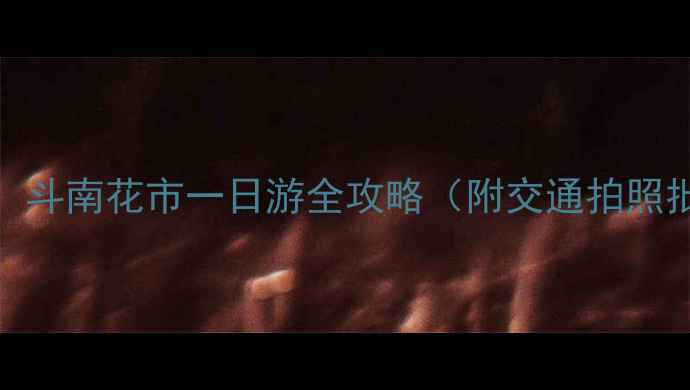 图片 昆明必打卡！斗南花市一日游全攻略（附交通拍照批发攻略）🌸