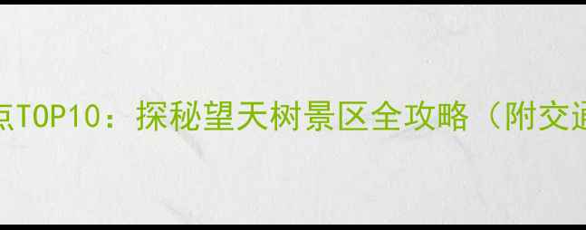 图片 景洪必游景点TOP10：探秘望天树景区全攻略（附交通住宿指南）