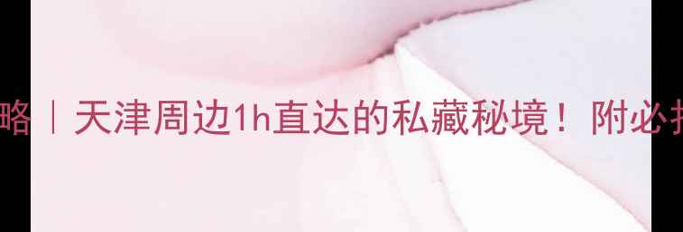 图片 月坨岛自驾游全攻略｜天津周边1h直达的私藏秘境！附必打卡攻略+隐藏玩法