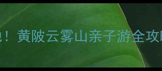 图片 武汉周边避暑胜地！黄陂云雾山亲子游全攻略+交通住宿指南1