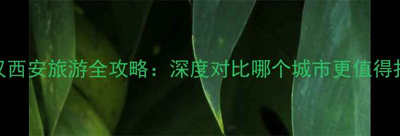 图片 武汉西安旅游全攻略：深度对比哪个城市更值得打卡