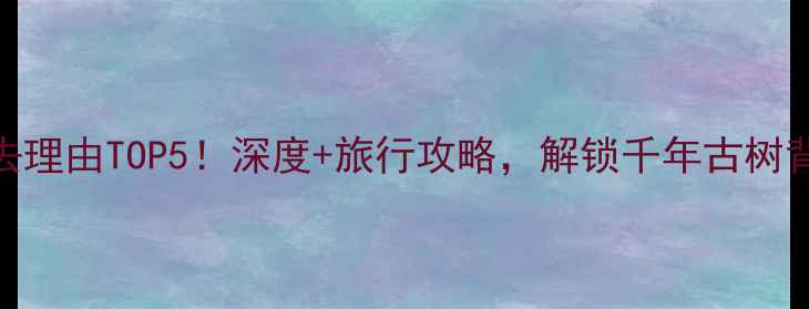 图片 洪桐大槐树必去理由TOP5！深度+旅行攻略，解锁千年古树背后的文化密码