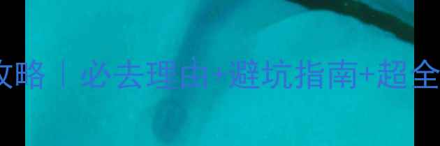 图片 涠洲岛自由行保姆级攻略｜必去理由+避坑指南+超全行程（附交通住宿）1