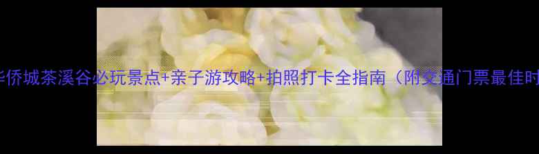 图片 深圳华侨城茶溪谷必玩景点+亲子游攻略+拍照打卡全指南（附交通门票最佳时间）2