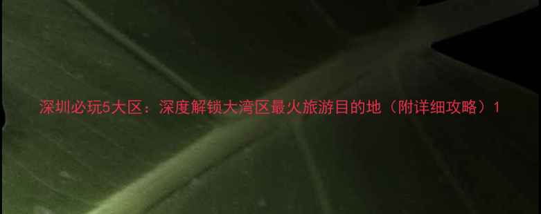 图片 深圳必玩5大区：深度解锁大湾区最火旅游目的地（附详细攻略）1