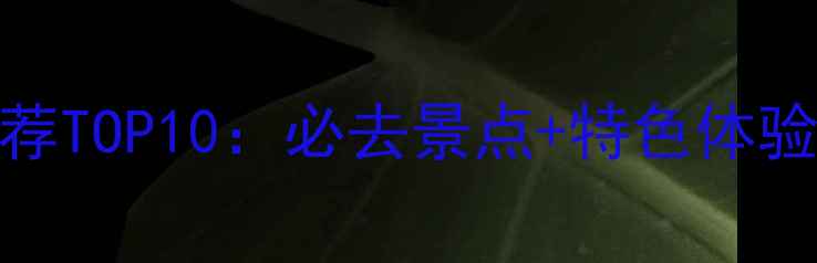 图片 深圳按摩店推荐TOP10：必去景点+特色体验，附详细攻略