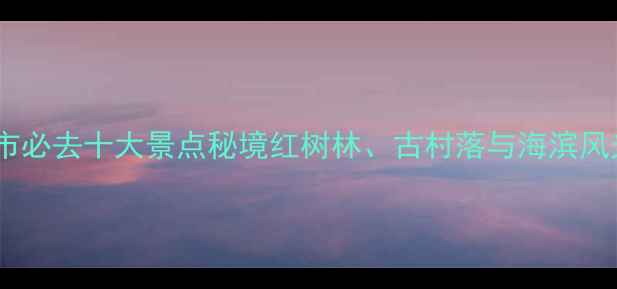 图片 湛江雷州市必去十大景点秘境红树林、古村落与海滨风光全攻略1