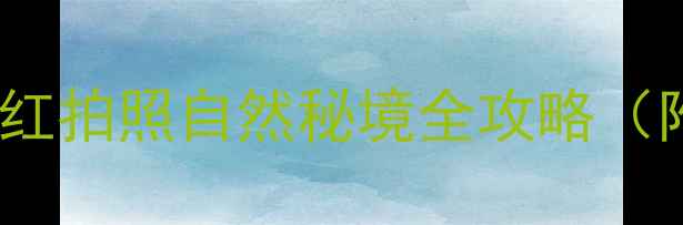 图片 溪之谷必打卡！亲子游网红拍照自然秘境全攻略（附门票+交通+隐藏玩法）2