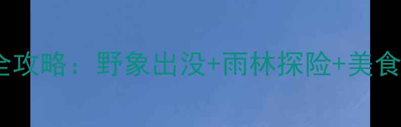 图片 版纳野象谷旅游全攻略：野象出没+雨林探险+美食打卡，必玩指南2