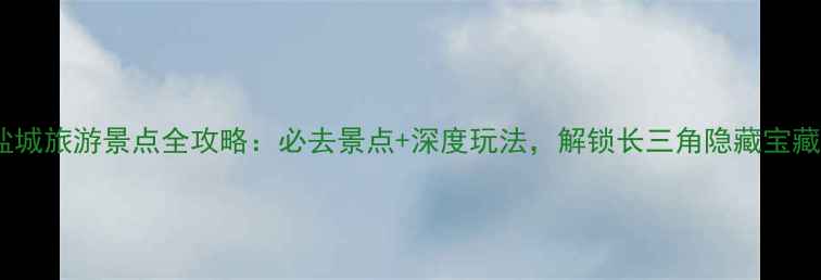 图片 盐城旅游景点全攻略：必去景点+深度玩法，解锁长三角隐藏宝藏2