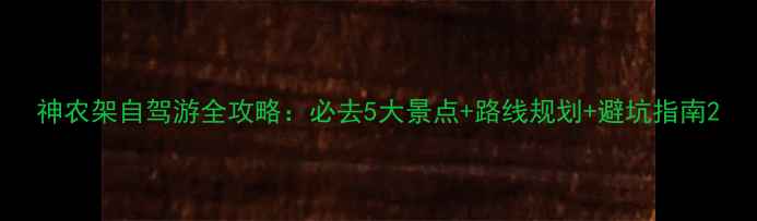图片 神农架自驾游全攻略：必去5大景点+路线规划+避坑指南2