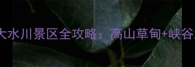 图片 秦岭秘境探秘指南｜宝鸡大水川景区全攻略：高山草甸+峡谷漂流+玻璃观景台一次玩转