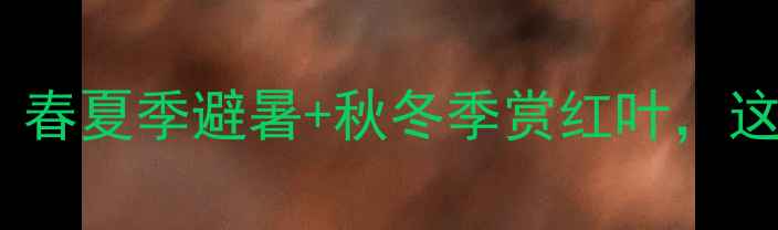 图片 羊台山必玩景点全攻略！春夏季避暑+秋冬季赏红叶，这份保姆级指南建议收藏2