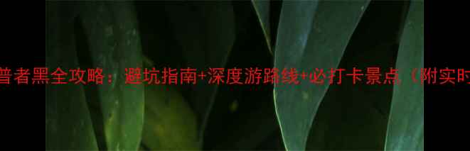 图片 自驾游普者黑全攻略：避坑指南+深度游路线+必打卡景点（附实时路况）