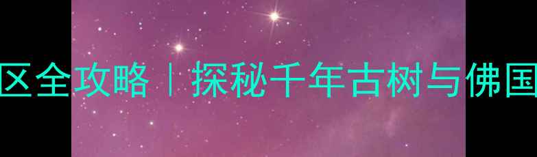 图片 衢州必去！根宫佛国景区全攻略｜探秘千年古树与佛国奇观的沉浸式打卡指南