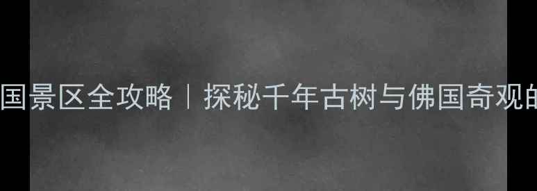 图片 衢州必去！根宫佛国景区全攻略｜探秘千年古树与佛国奇观的沉浸式打卡指南1