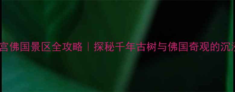 图片 衢州必去！根宫佛国景区全攻略｜探秘千年古树与佛国奇观的沉浸式打卡指南2