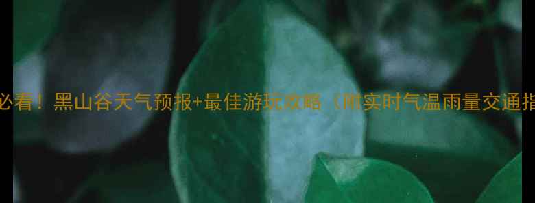 图片 避暑必看！黑山谷天气预报+最佳游玩攻略（附实时气温雨量交通指南）