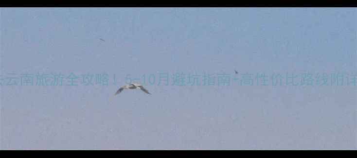图片 重庆出发去云南旅游全攻略！5-10月避坑指南+高性价比路线附详细行程表2