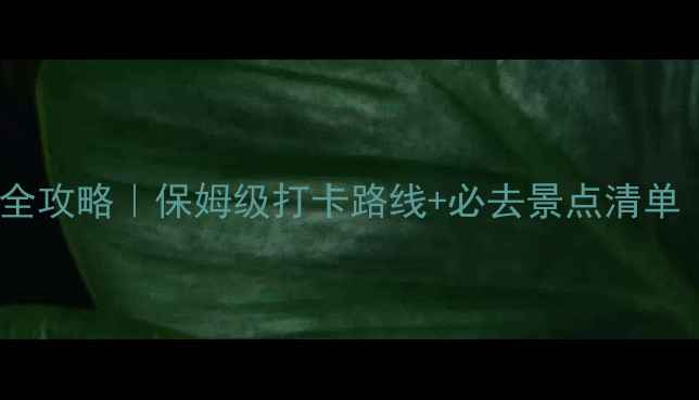 图片 重庆武隆一日游全攻略｜保姆级打卡路线+必去景点清单（附交通住宿）1