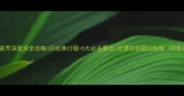 图片 长沙出发张家界深度游全攻略3日经典行程+5大必去景点+交通住宿避坑指南（附旅行社推荐）2