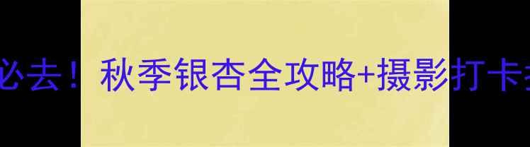 图片 随州千年银杏谷景区必去！秋季银杏全攻略+摄影打卡指南（附交通住宿）2