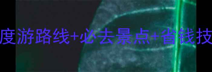 图片 青岛到西安自助游全攻略：8天深度游路线+必去景点+省钱技巧，零基础也能玩转西北大环线2