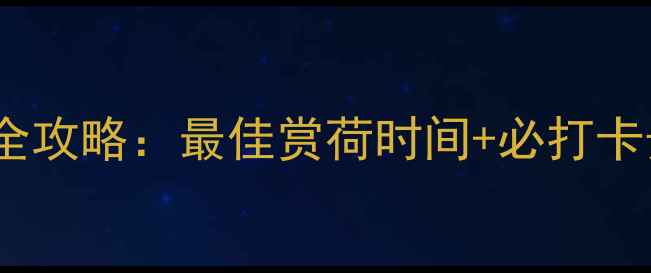 图片 香河万亩荷塘游玩全攻略：最佳赏荷时间+必打卡景点+交通住宿指南