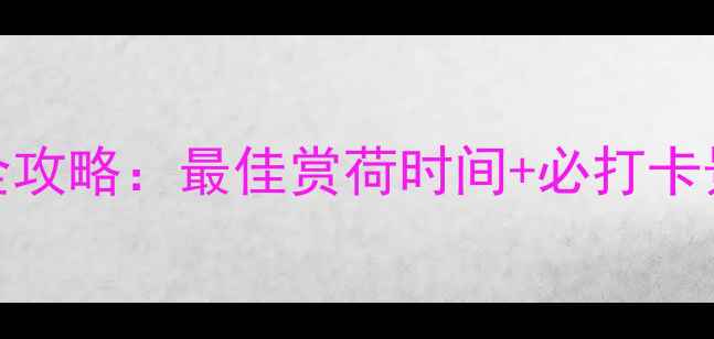 图片 香河万亩荷塘游玩全攻略：最佳赏荷时间+必打卡景点+交通住宿指南1