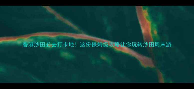 图片 香港沙田必去打卡地！这份保姆级攻略让你玩转沙田周末游