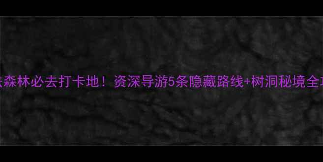 图片 魔法森林必去打卡地！资深导游5条隐藏路线+树洞秘境全攻略