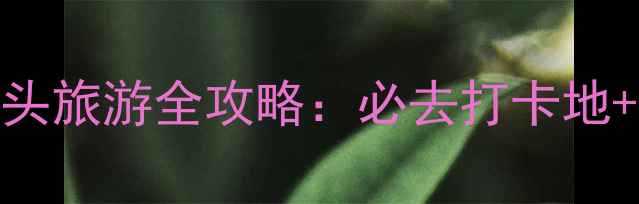 图片 黄骅港千吨码头旅游全攻略：必去打卡地+深度体验指南