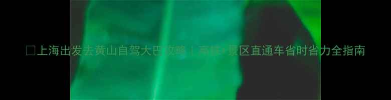 图片 🌄上海出发去黄山自驾大巴攻略｜高铁+景区直通车省时省力全指南