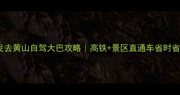 图片 🌄上海出发去黄山自驾大巴攻略｜高铁+景区直通车省时省力全指南1