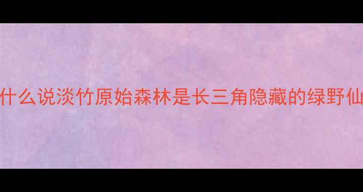 图片 🌄为什么说淡竹原始森林是长三角隐藏的绿野仙踪？