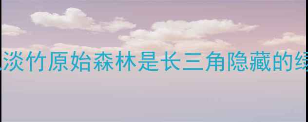 图片 🌄为什么说淡竹原始森林是长三角隐藏的绿野仙踪？1