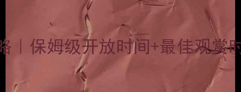 图片 🌄喀纳斯景区游玩全攻略｜保姆级开放时间+最佳观赏时段+交通门票避坑指南2