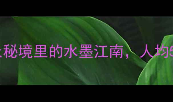 图片 🌄安徽坡山村：小众秘境里的水墨江南，人均500元玩转诗画田园2